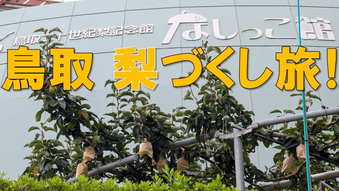 【二十世紀梨】鳥取で梨づくしツアー✨️ 【二十世紀梨】鳥取で梨づくしツアー✨️