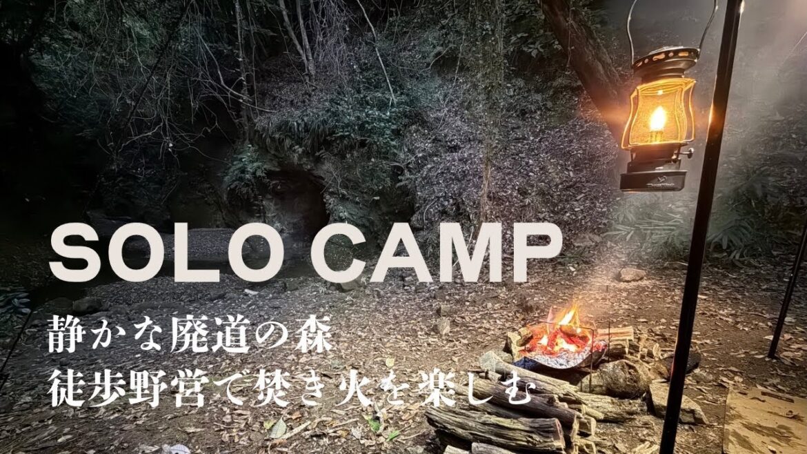 【徒歩ソロ野営】千葉県富津市、静かな廃道の森。徒歩野営で焚き火を楽しむ。