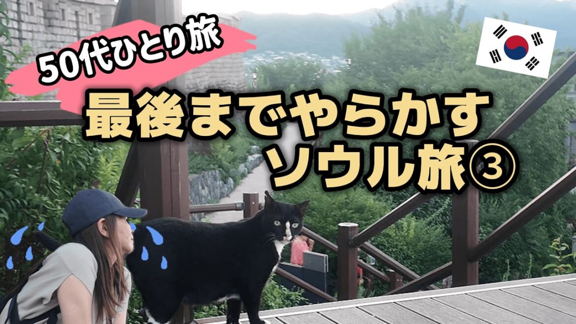 【韓国ひとり旅】食堂で青ざめるおばさん|夕暮れのナクサン公園へVol.3 【韓国ひとり旅】食堂で青ざめるおばさん|夕暮れのナクサン公園へVol.3