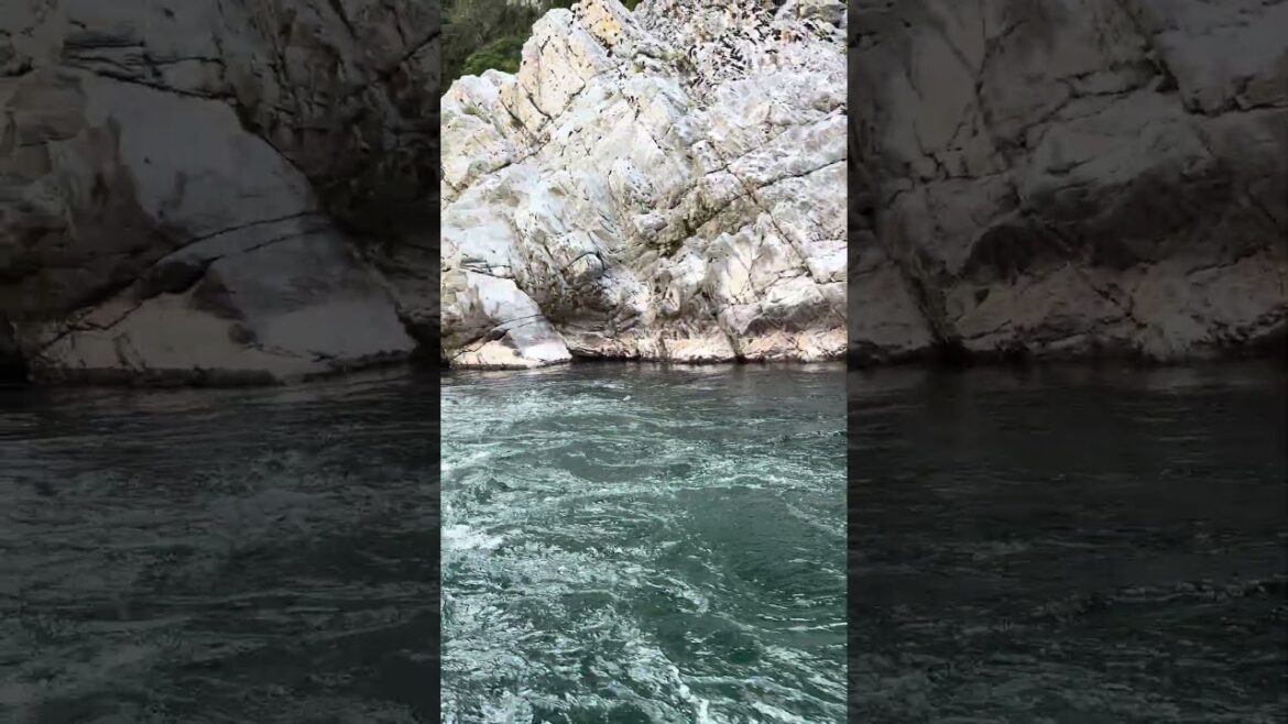 【徳島県】大歩危峡と吉野川　#Shikoku #Yoshinoriver