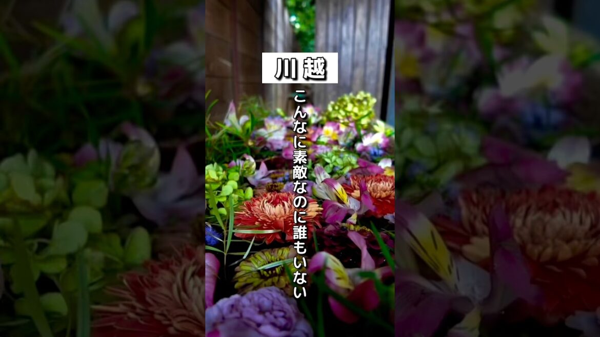 川越城で一番高い場所！富士山は見えない「富士見櫓跡」が穴場すぎた #埼玉県 #youtubeshorts #川越