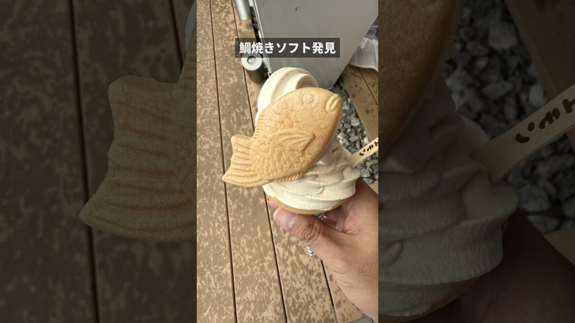 【徳島観光】こんなにデカい「さつまいも」が！？道の駅くるくるなると #shorts