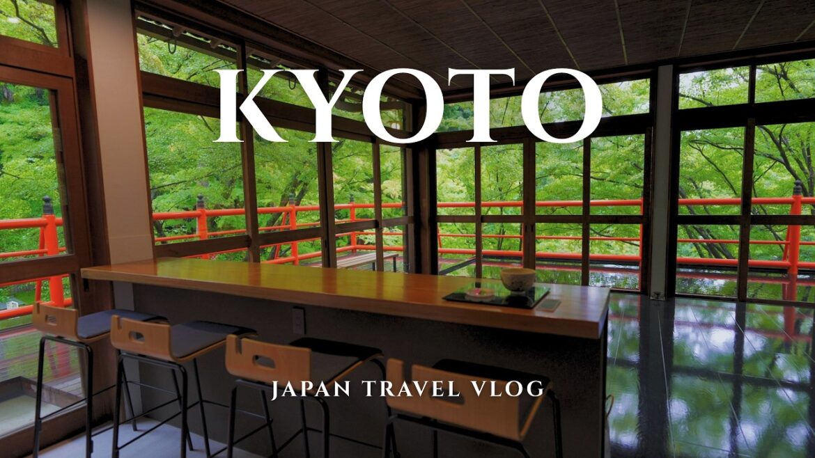 Kyoto in the Rain🌧️An empty prime seat , Secret Hidden Spots & Japanese Lunch | Japan Travel Vlog Kyoto in the Rain🌧️An empty prime seat , Secret Hidden Spots & Japanese Lunch | Japan Travel Vlog