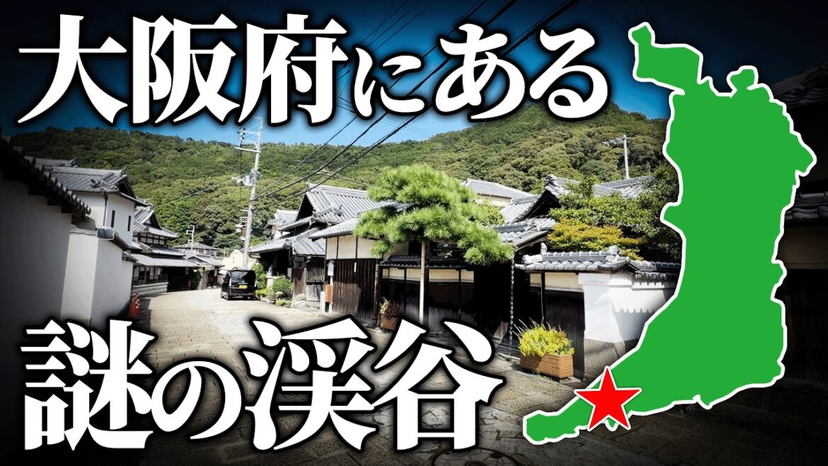 【何があるのか?】大阪府の「謎の渓谷」にできた町に行ってみた 【何があるのか?】大阪府の「謎の渓谷」にできた町に行ってみた