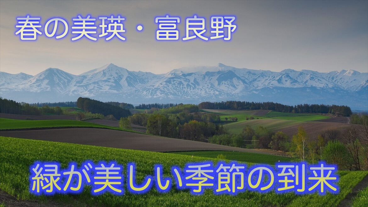 春の美瑛・富良野〜緑が美しい季節の到来〜