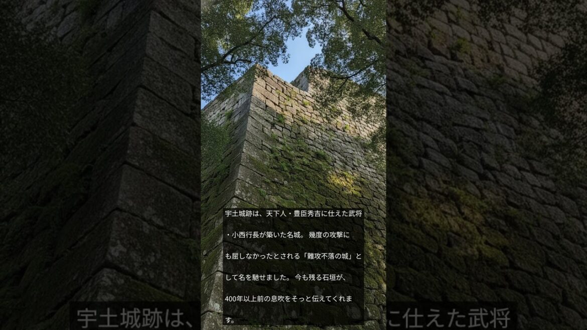 【熊本がんばれ】難攻不落の城跡と江戸の水道が残る宇土市の歴史を巡る #Shorts
