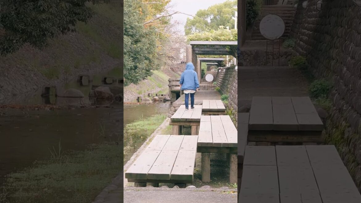 岐阜｜ここ、知ってますか？観光地のすぐ横　#shorts #60代 #夫婦旅