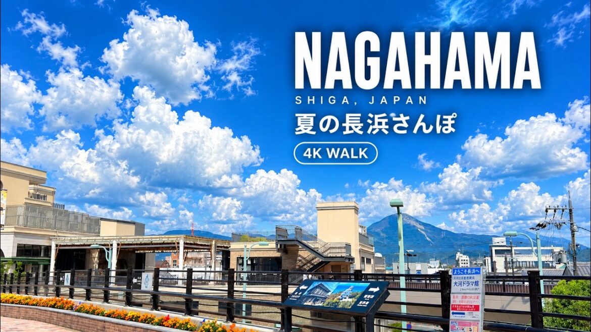 Walking around Nagahama, Shiga Japan🇯🇵｜夏の長浜散策2026【4K】