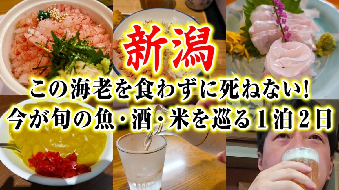 本当に教えたくない!人生最高の新潟グルメ|新潟駅から歩ける範囲だけで、今が旬の米・酒・日本海の魚をたどる絶品づくし1泊2日の旅【関西人ひとり旅】 本当に教えたくない!人生最高の新潟グルメ|新潟駅から歩ける範囲だけで、今が旬の米・酒・日本海の魚をたどる絶品づくし1泊2日の旅【関西人ひとり旅】