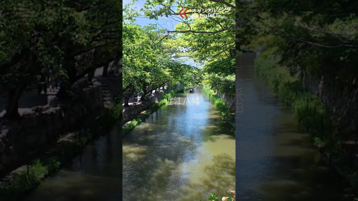 【近江八幡・八幡堀】水郷の町を夫婦でぶらり散歩|滋賀の美しい風景 #shorts 【近江八幡・八幡堀】水郷の町を夫婦でぶらり散歩|滋賀の美しい風景 #shorts
