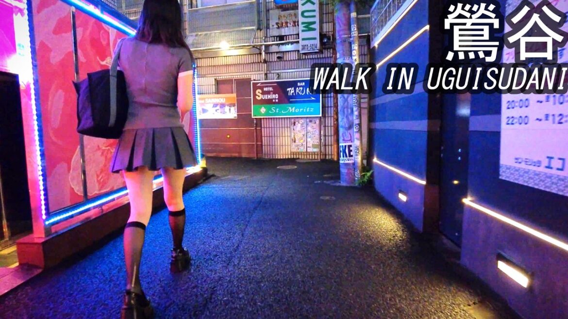 本日の鶯谷・ホテル街の夜をお散歩!リアルの東京・日本 Tokyo Night Walk Nightlife Japan Walking Tour Street Relaxing City Sounds 本日の鶯谷・ホテル街の夜をお散歩!リアルの東京・日本 Tokyo Night Walk Nightlife Japan Walking Tour Street Relaxing City Sounds