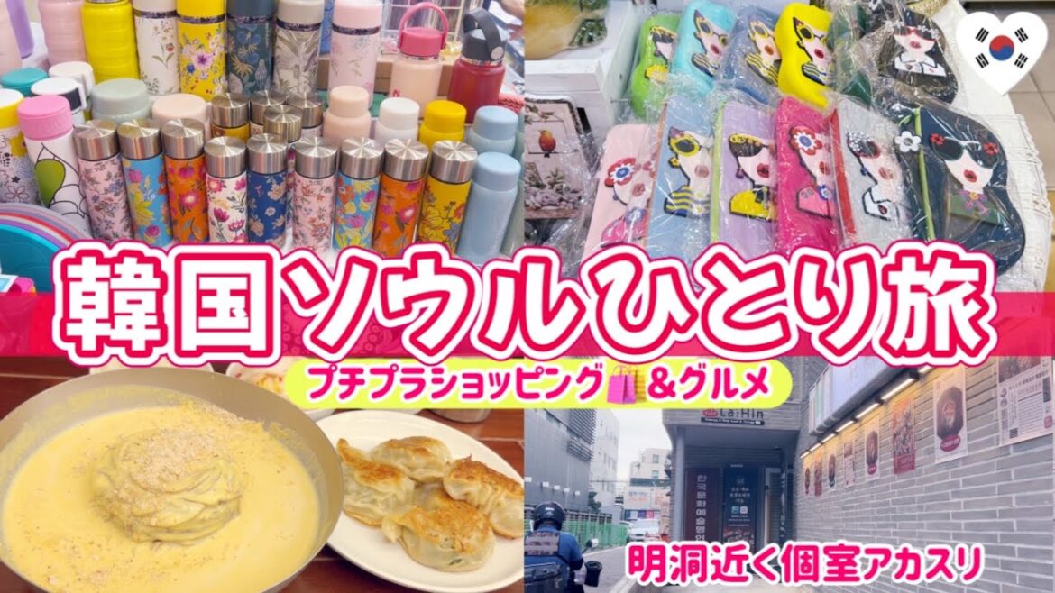 韓国ひとり旅🇰🇷🛍️プチプラショッピング♡駅近ホテル✨明洞近くあかすり🎃焼きマンドゥ＆かぼちゃコングクス