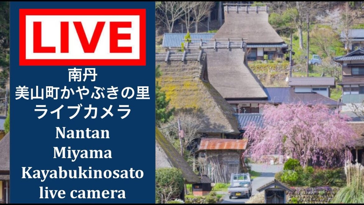 2026/10/20 【LIVE CAMERA】#南丹市 #美山かやぶきの里  #ライブカメラ #livecamera  #nantan #miyama #thatchedvillage #美山