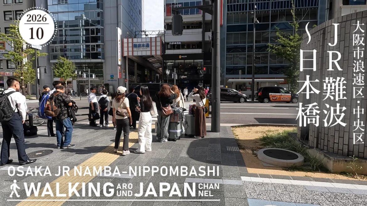 【4K/大阪散歩】大阪市浪速区JR難波駅~日本橋駅を街歩き Walking around From JR-Namba to Nipponbashi,Osaka,Japan,2026 【4K/大阪散歩】大阪市浪速区JR難波駅~日本橋駅を街歩き Walking around From JR-Namba to Nipponbashi,Osaka,Japan,2026