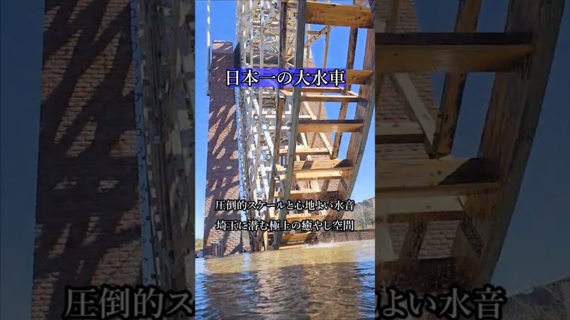 日本一の巨大水車に圧倒される。寄居町「川の博物館」で極上の癒やし時間🌊 #shorts 日本一の巨大水車に圧倒される。寄居町「川の博物館」で極上の癒やし時間🌊 #shorts