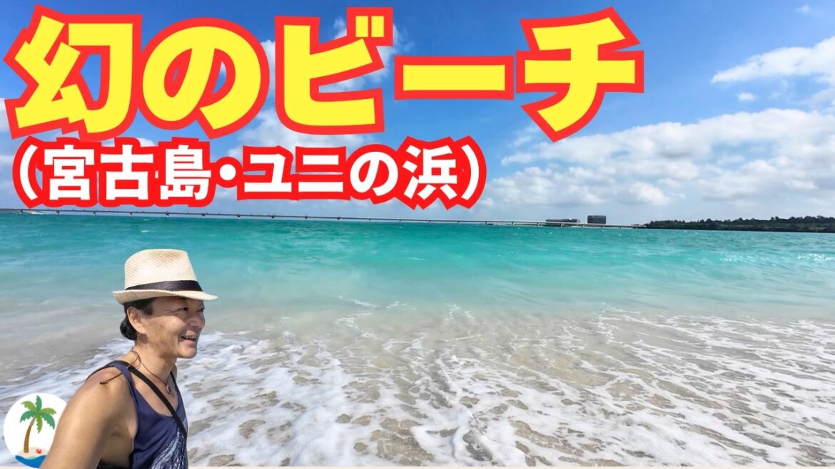 【幻の島】宮古島の美しい砂浜ユニの浜ツアーに参加して絶景にご満悦ひとり旅
